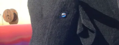 Imagem 1 da empresa OFICINA DA ARTE BRINQUEDOS INFLÁVEIS Garçons para Festas e Eventos em Brasília DF