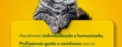 Imagem 1 da empresa PET SHOP VIDA ANIMAL - UNIDADE GUAIAPÓ Pet Shop em Maringá PR