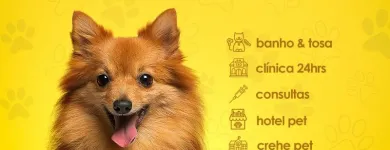 Imagem 5 da empresa PET SHOP VIDA ANIMAL - UNIDADE GUAIAPÓ Pet Shop em Maringá PR