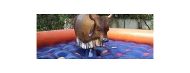 Imagem 1 da empresa PLANETA DOS INFLAVEIS LOC.DE BRINQUEDOS Festas - Animação em Belo Horizonte MG