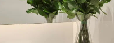 Imagem 44 da empresa RADISSON BLU BELO HORIZONTE, SAVASSI Hotéis em Belo Horizonte MG