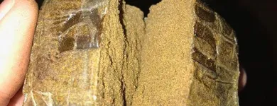 Imagem 2 da empresa SEEDSSHOP Telefones Celulares - Acessórios em Campinas SP