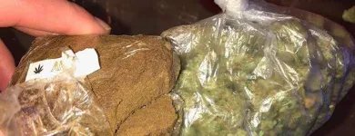 Imagem 3 da empresa SEEDSSHOP Telefones Celulares - Acessórios em Campinas SP