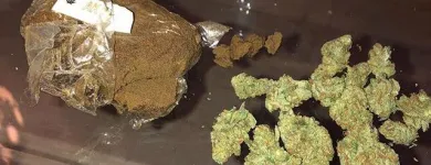 Imagem 1 da empresa SEEDSSHOP Telefones Celulares - Acessórios em Campinas SP