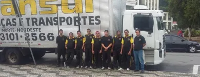 Imagem 1 da empresa TRANSUL MUDANÇAS PARA O NORDESTE Mudanças Internacionais - Serviços em São Paulo SP