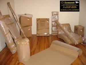 Imagem 14 da empresa TRANSUL MUDANÇAS PARA O NORDESTE