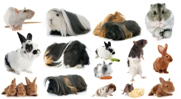 Imagem 6 da empresa AQUARIAMA