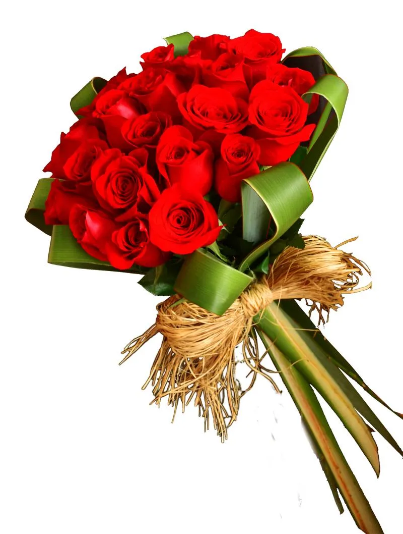 Imagem 3 da empresa FLORICULTURA SÓ ROSAS