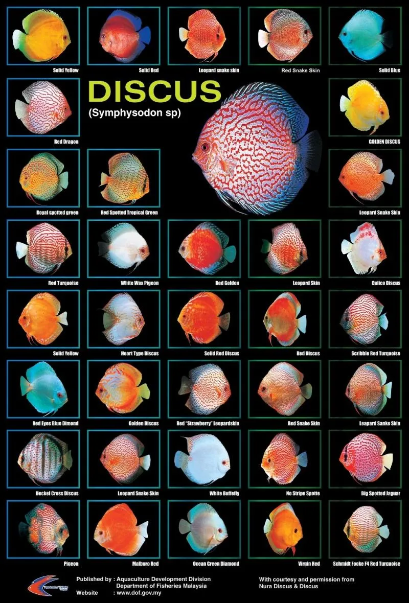 Imagem 5 da empresa AQUARIAMA