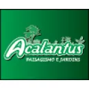 PTE MACIEL DISTRIBUIDORA DE FLORES ACALANTUS Vasos para Plantas em São Paulo SP