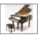 ARCOS PIANOS INSTRUMENTOS MUSICAIS Pianos - Afinação E Conserto em Rio De Janeiro RJ
