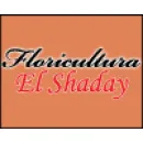 FLORICULTURA EL SHADAY Floriculturas em Maringá PR