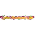 FLORICULTURA BANDEIRANTES LTDA - SANTA CECÍLIA