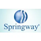 SPRINGWAY IMPORTAÇÃO EXPORTAÇÃO COM E SERVIÇOS - VILA NOVA CONCEIÇÃO