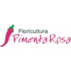 FLORICULTURA PIMENTA ROSA