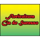 FLORICULTURA E CESTAS CIA DO SUCESSO