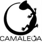 CAMALEOA ACESSÓRIOS EM COURO