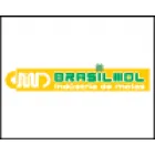 BRASILMOL INDÚSTRIA DE MOLAS