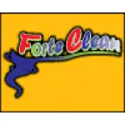 FORTE CLEAN