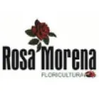 FLORICULTURA ROSA MORENA